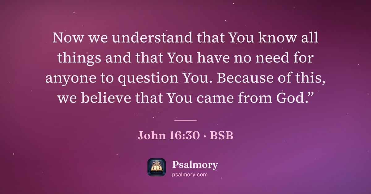 John 16:30 verse artwork: Now we understand that You know all things and that You have no need for anyone to…