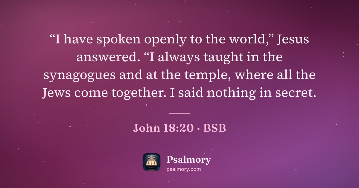 John 18:20 verse artwork: “I have spoken openly to the world,” Jesus answered. “I always taught in the synagogues…