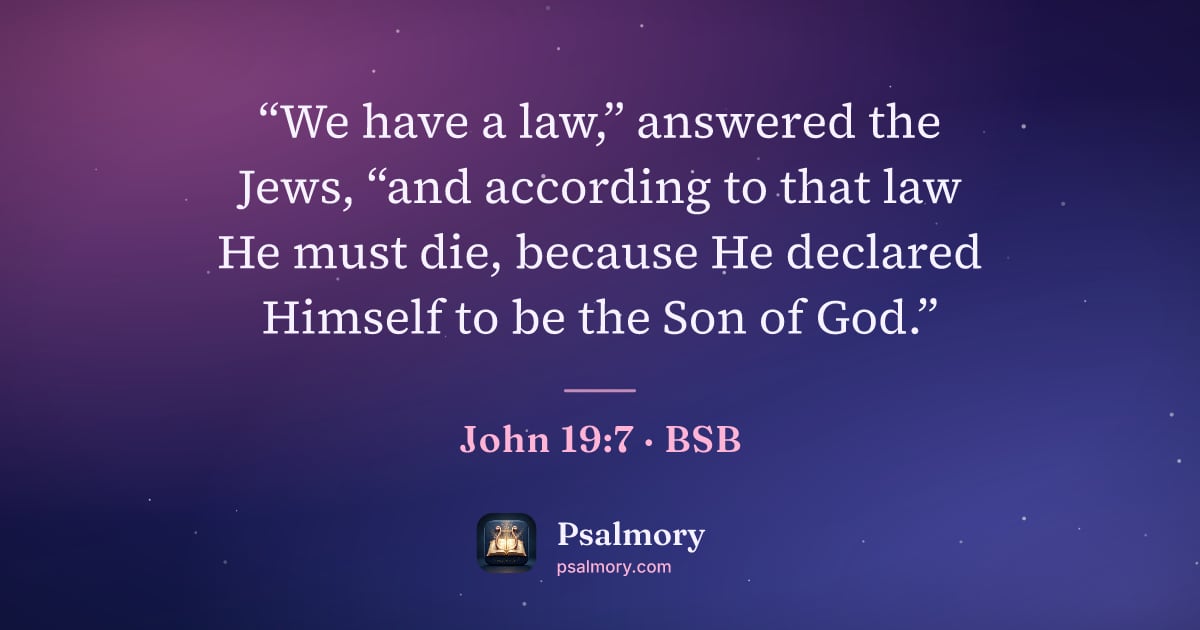 John 19:7 verse artwork: “We have a law,” answered the Jews, “and according to that law He must die, because He…