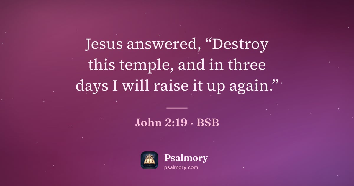 John 2:19 verse artwork: Jesus answered, “Destroy this temple, and in three days I will raise it up again.”