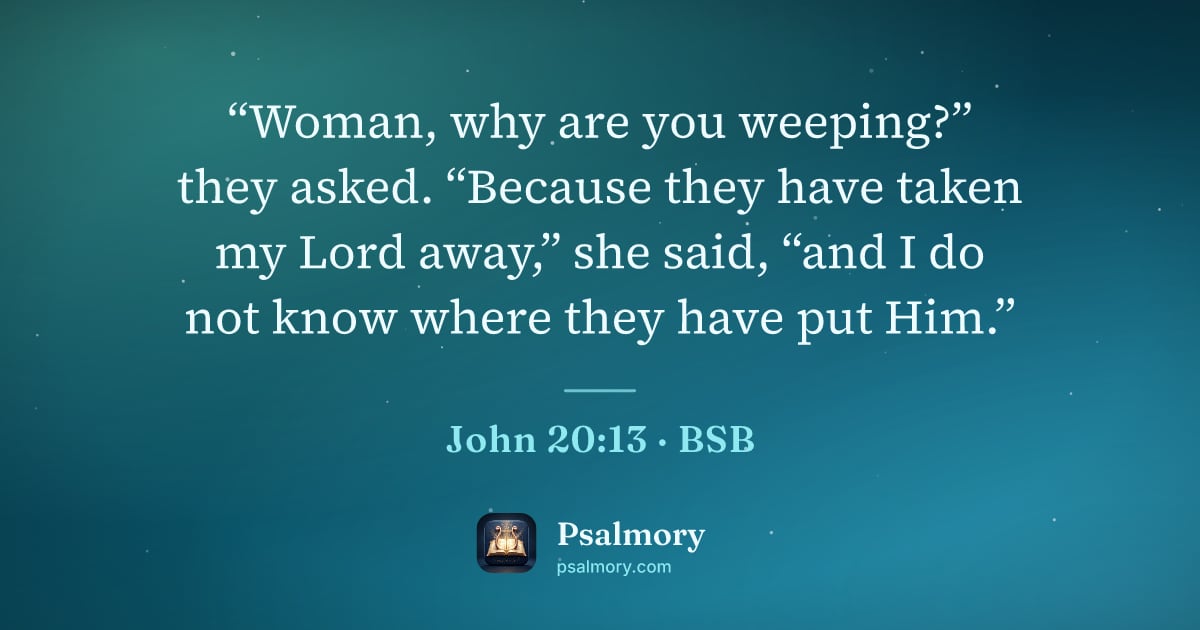 John 20:13 verse artwork: “Woman, why are you weeping?” they asked. “Because they have taken my Lord away,” she…