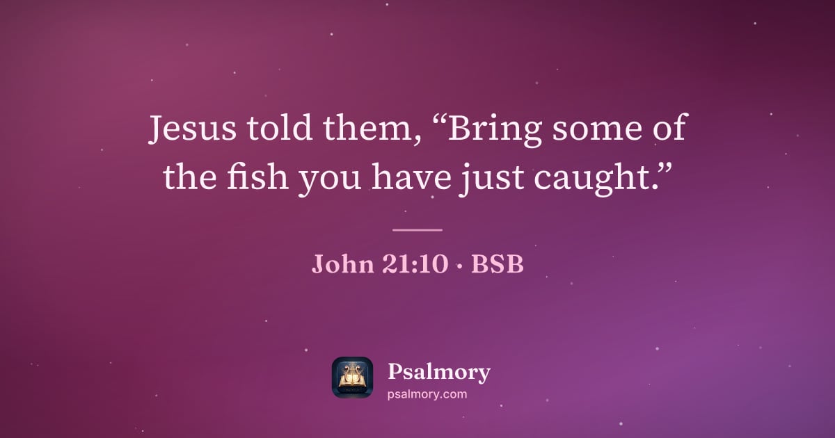 John 21:10 verse artwork: Jesus told them, “Bring some of the fish you have just caught.”