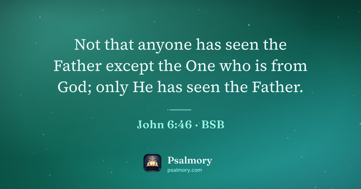 John 6:46 verse artwork: Not that anyone has seen the Father except the One who is from God; only He has seen the…