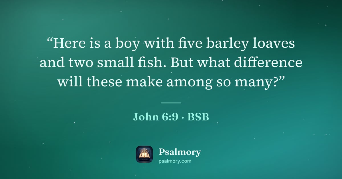 John 6:9 verse artwork: “Here is a boy with five barley loaves and two small fish. But what difference will…