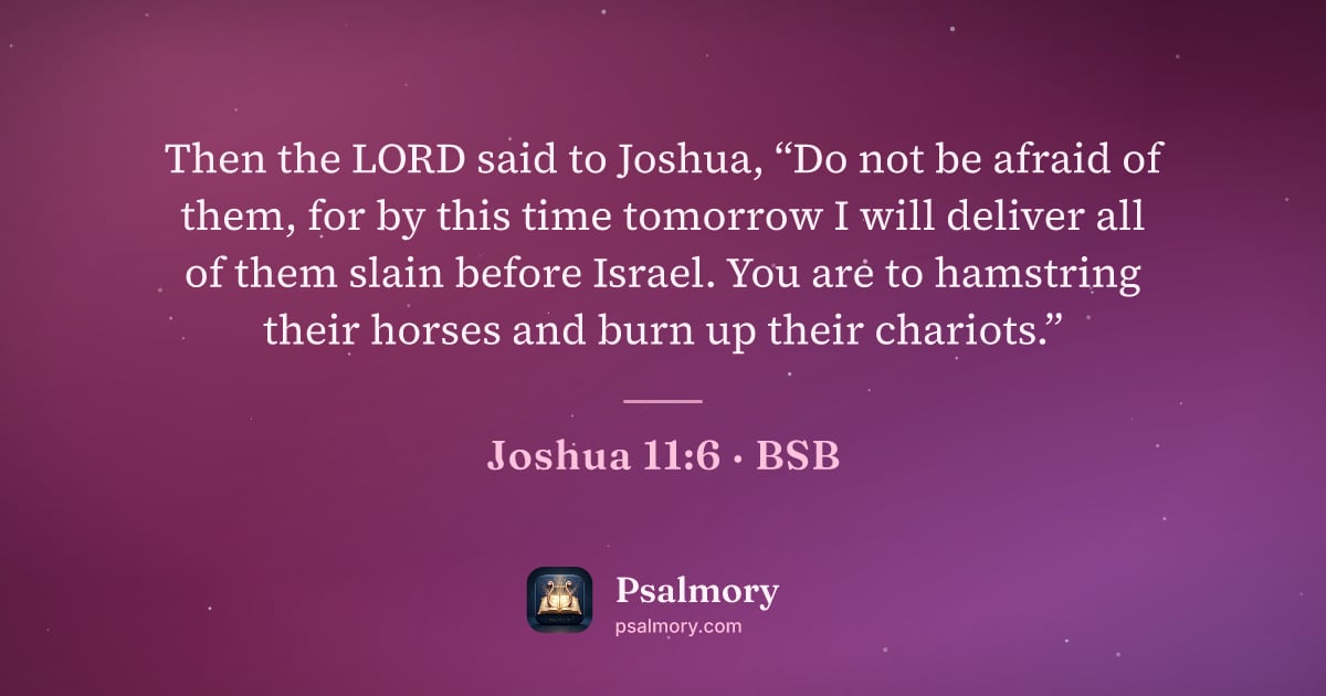 Joshua 11:6 verse artwork: Then the LORD said to Joshua, “Do not be afraid of them, for by this time tomorrow I…