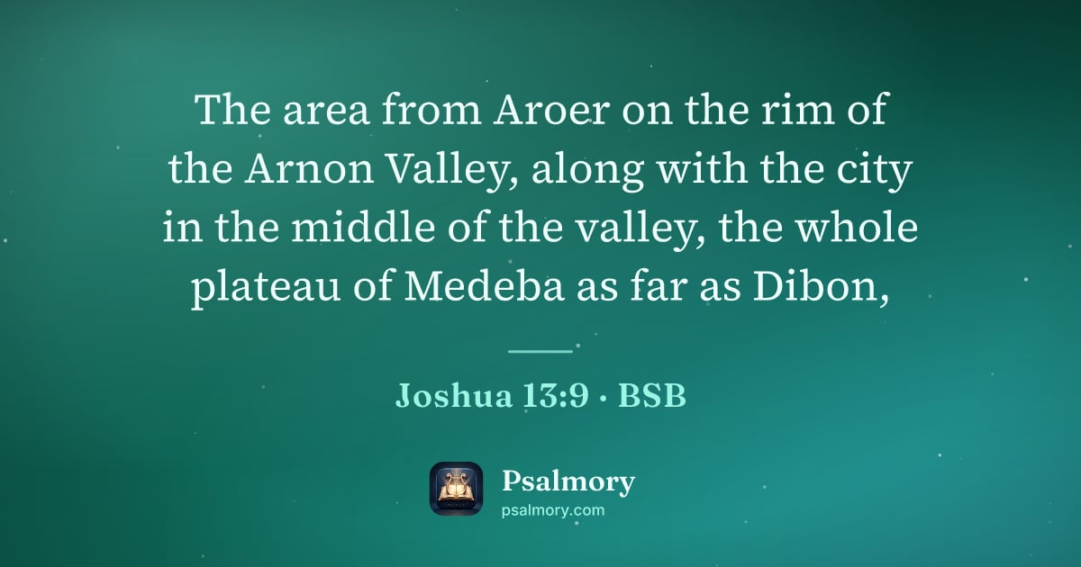 Joshua 13:9 verse artwork: The area from Aroer on the rim of the Arnon Valley, along with the city in the middle of…