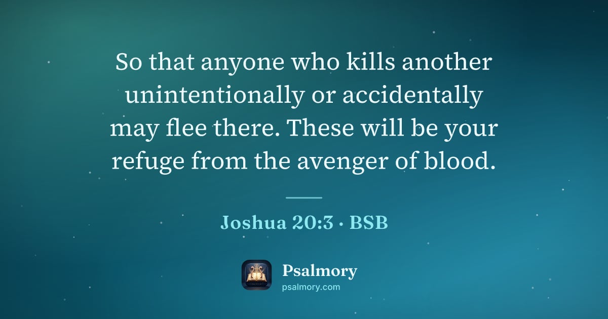 Joshua 20:3 verse artwork: So that anyone who kills another unintentionally or accidentally may flee there. These…