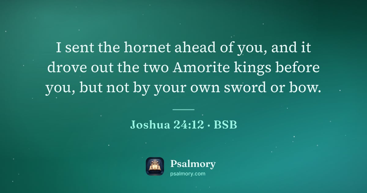 Joshua 24:12 verse artwork: I sent the hornet ahead of you, and it drove out the two Amorite kings before you, but…