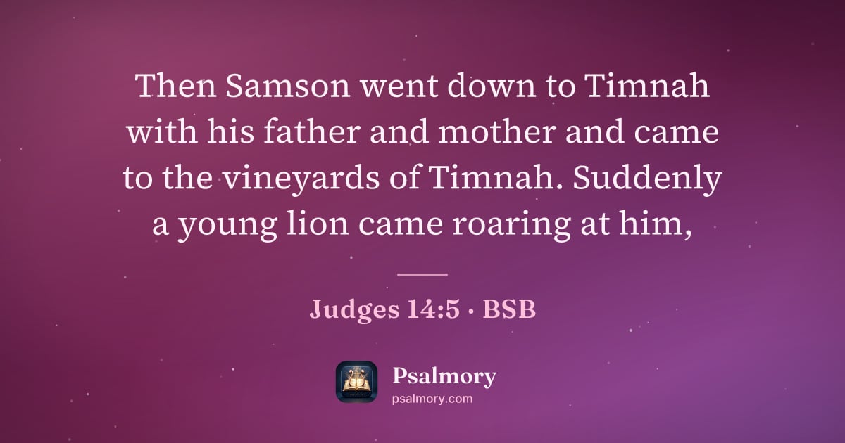 Judges 14:5 verse artwork: Then Samson went down to Timnah with his father and mother and came to the vineyards of…