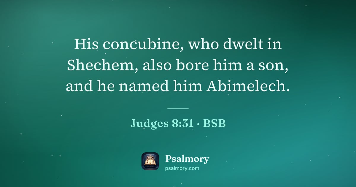 Judges 8:31 verse artwork: His concubine, who dwelt in Shechem, also bore him a son, and he named him Abimelech.