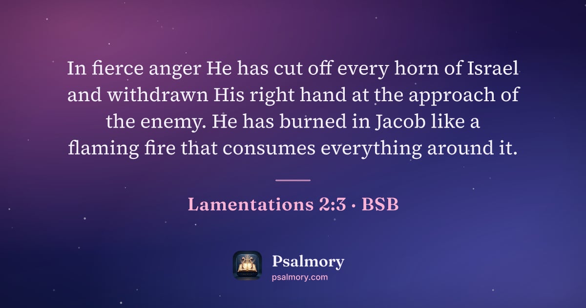 Lamentations 2:3 verse artwork: In fierce anger He has cut off every horn of Israel and withdrawn His right hand at the…