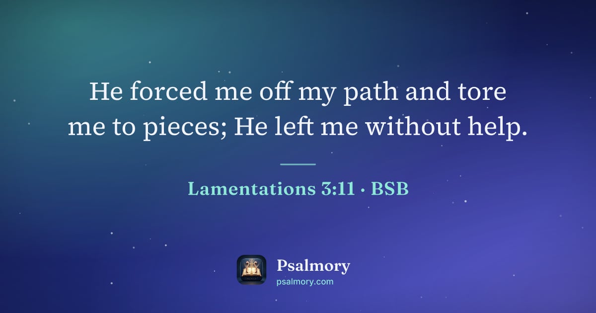 Lamentations 3:11 verse artwork: He forced me off my path and tore me to pieces; He left me without help.
