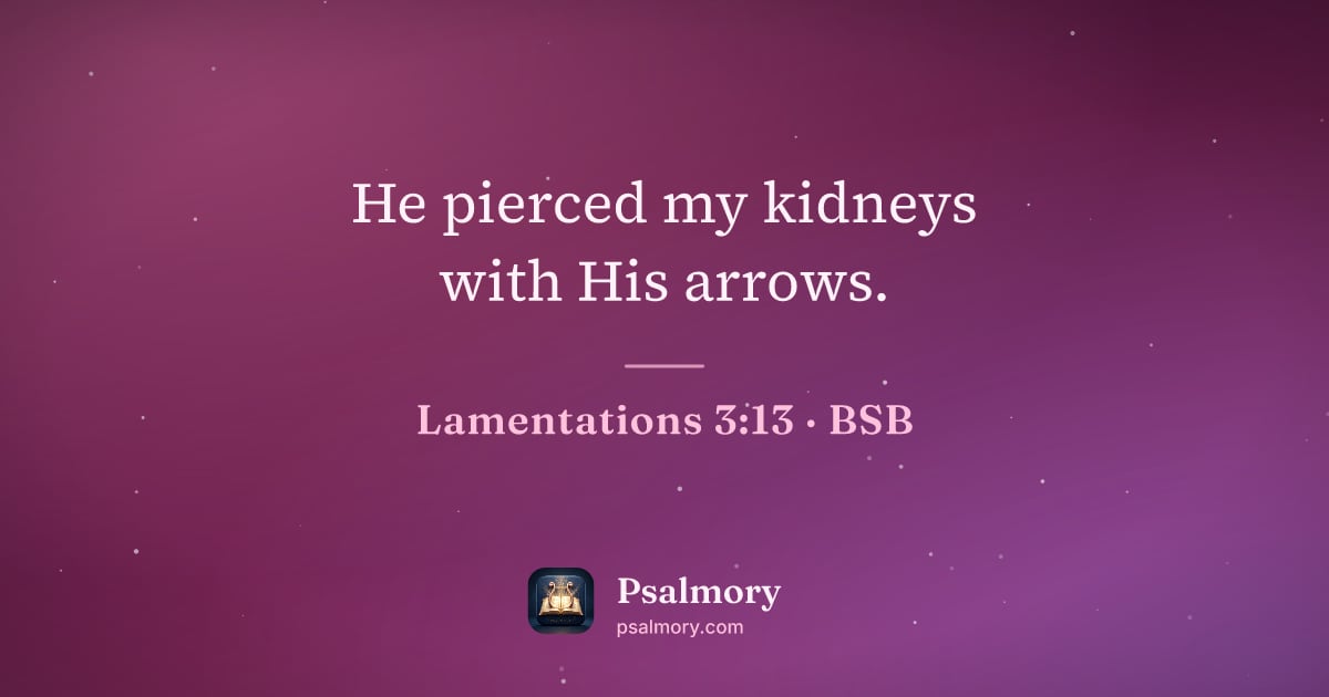 Lamentations 3:13 verse artwork: He pierced my kidneys with His arrows.