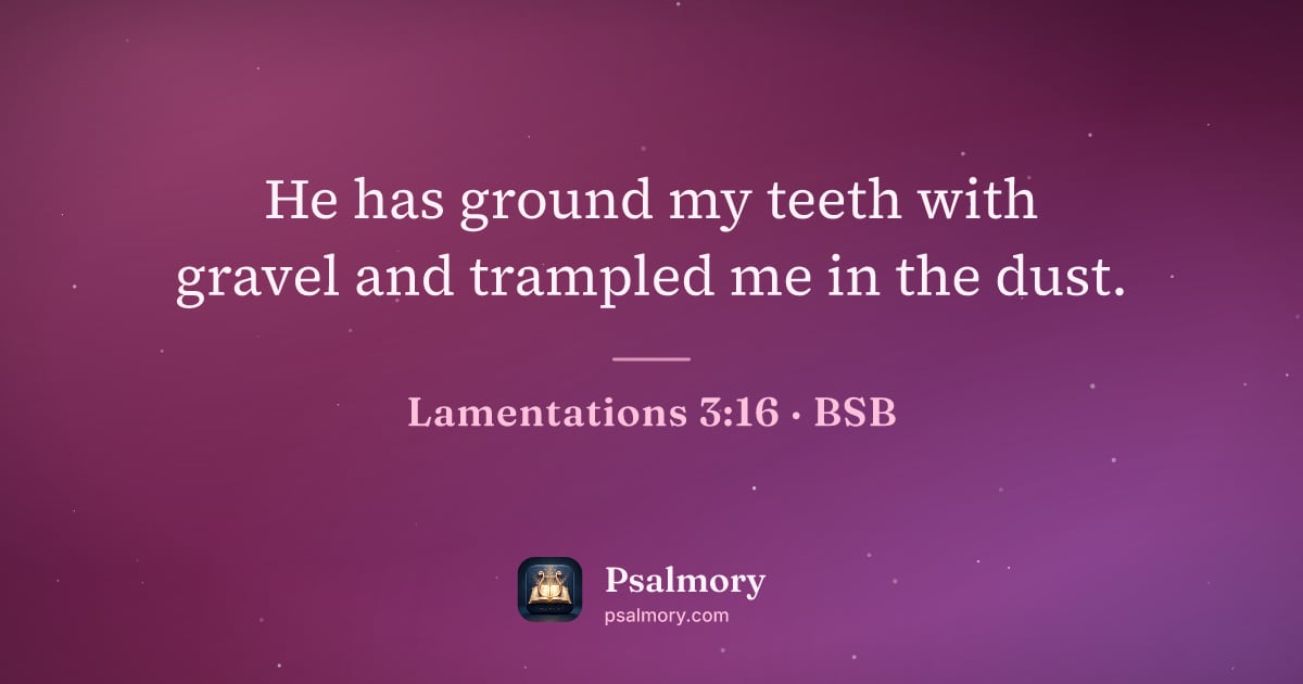 Lamentations 3:16 verse artwork: He has ground my teeth with gravel and trampled me in the dust.