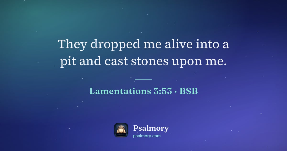 Lamentations 3:53 verse artwork: They dropped me alive into a pit and cast stones upon me.