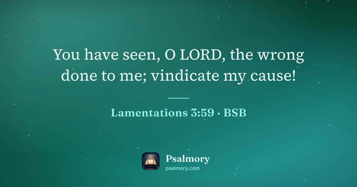Lamentations 3:59 verse artwork: You have seen, O LORD, the wrong done to me; vindicate my cause!