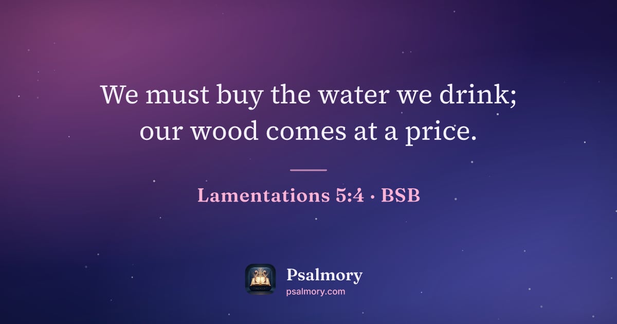 Lamentations 5:4 verse artwork: We must buy the water we drink; our wood comes at a price.
