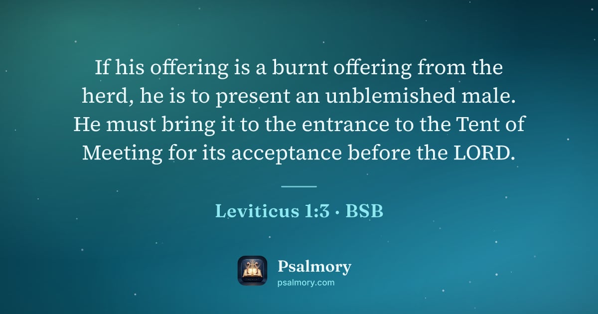 Leviticus 1:3 verse artwork: If his offering is a burnt offering from the herd, he is to present an unblemished male.…