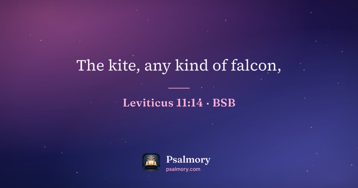 Leviticus 11:14 verse artwork: The kite, any kind of falcon,