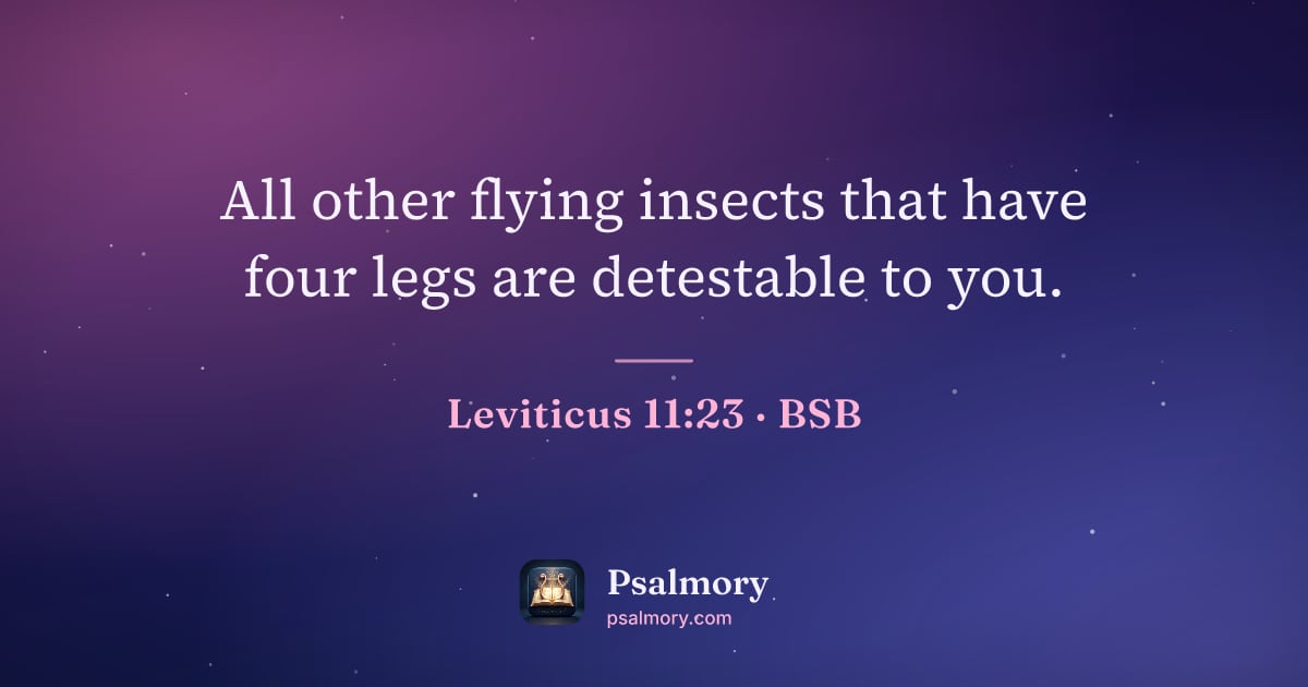 Leviticus 11:23 verse artwork: All other flying insects that have four legs are detestable to you.