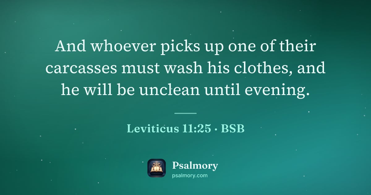 Leviticus 11:25 verse artwork: And whoever picks up one of their carcasses must wash his clothes, and he will be…