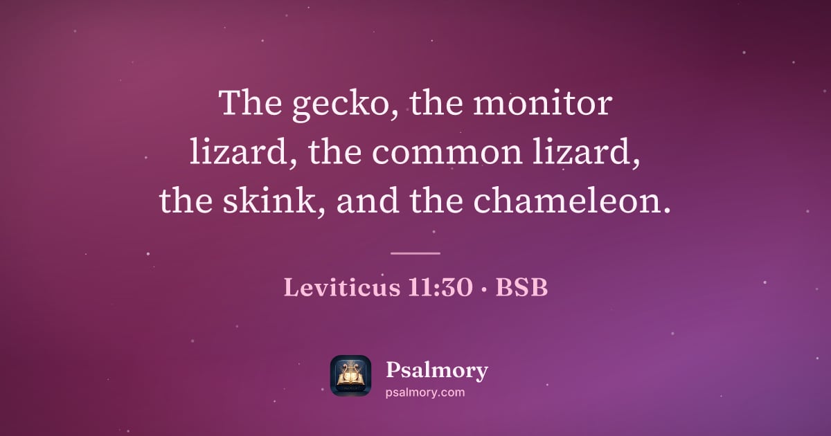 Leviticus 11:30 verse artwork: The gecko, the monitor lizard, the common lizard, the skink, and the chameleon.