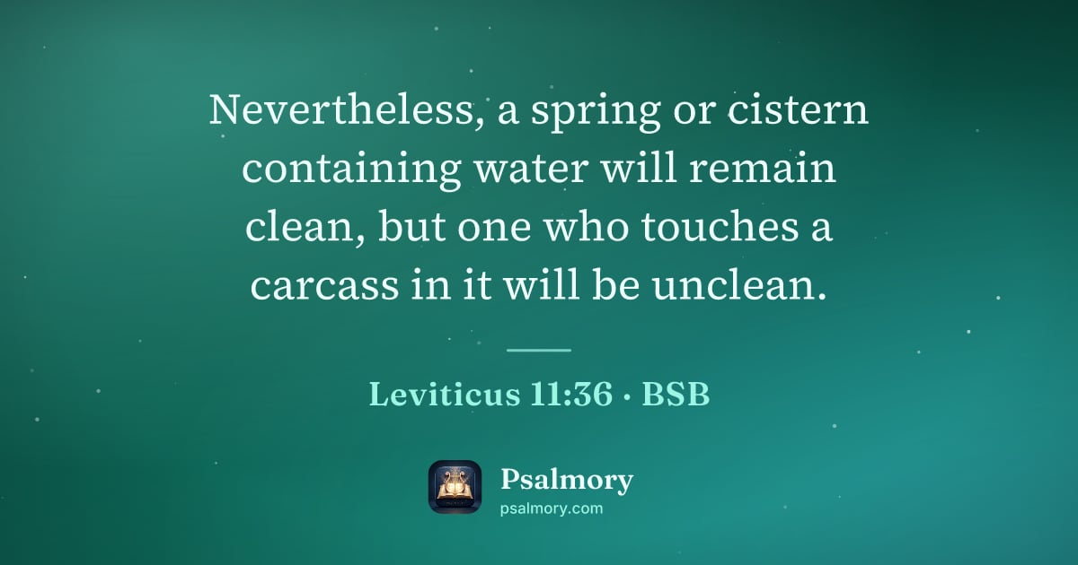 Leviticus 11:36 verse artwork: Nevertheless, a spring or cistern containing water will remain clean, but one who…