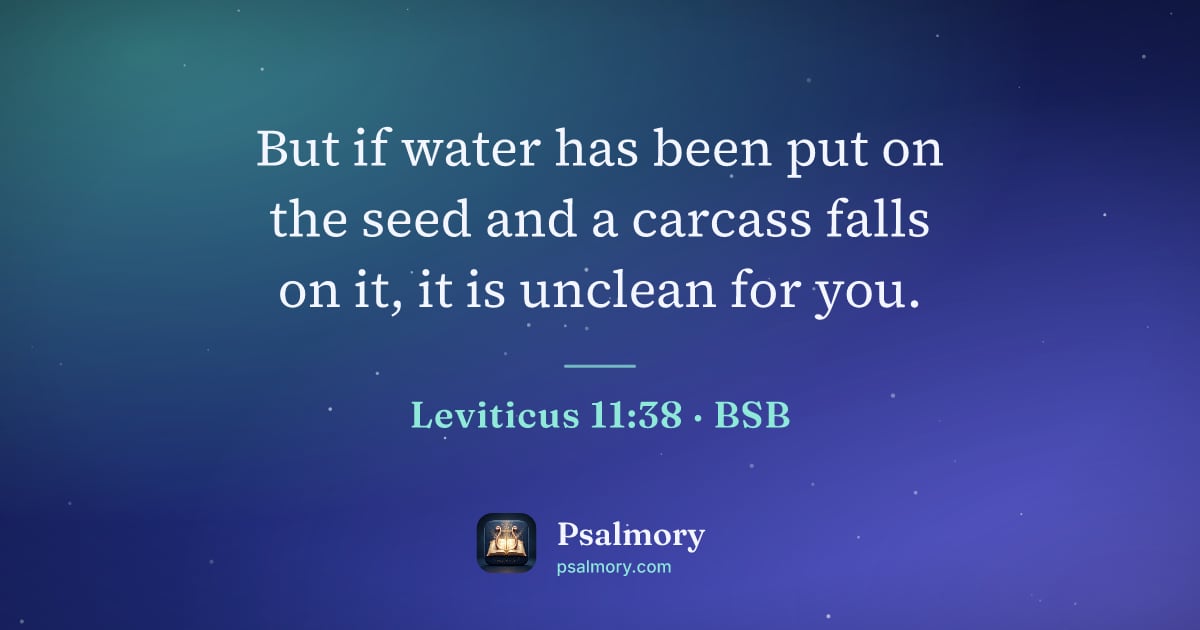 Leviticus 11:38 verse artwork: But if water has been put on the seed and a carcass falls on it, it is unclean for you.