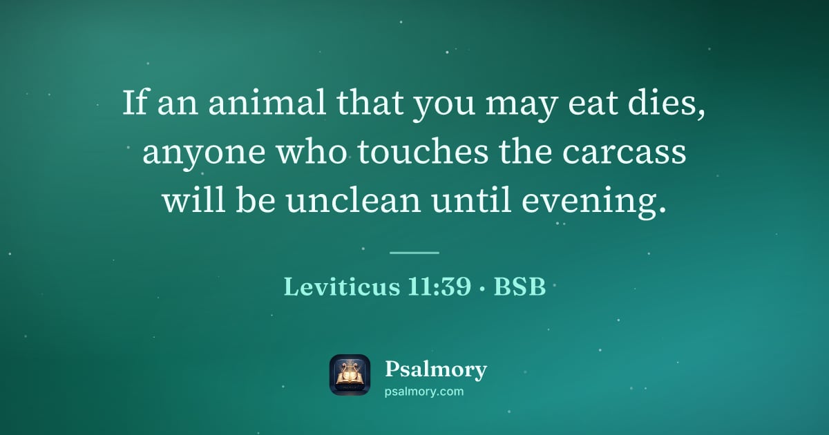 Leviticus 11:39 verse artwork: If an animal that you may eat dies, anyone who touches the carcass will be unclean until…