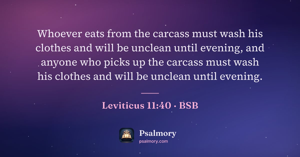 Leviticus 11:40 verse artwork: Whoever eats from the carcass must wash his clothes and will be unclean until evening,…