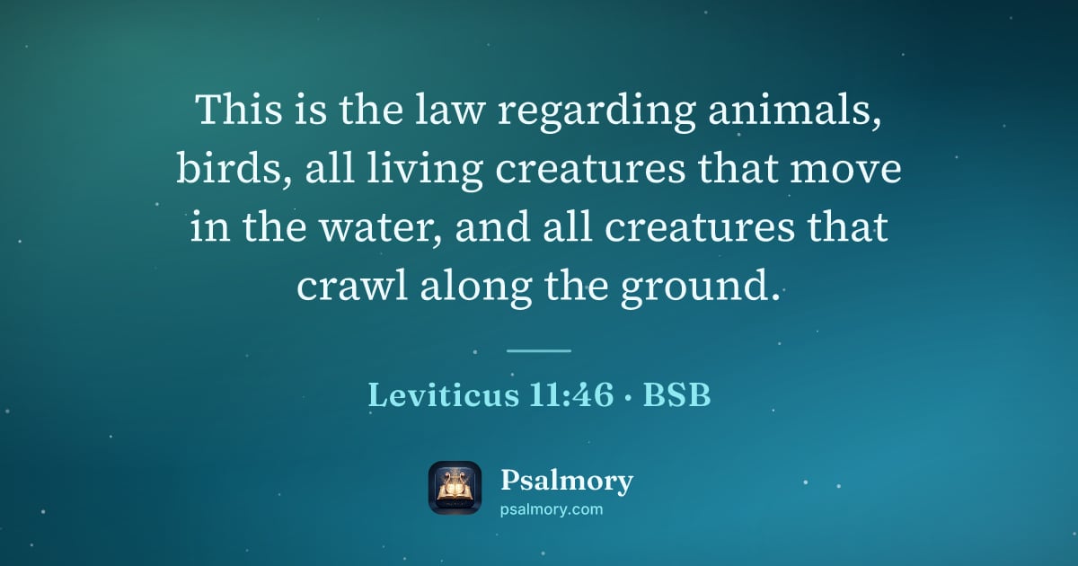 Leviticus 11:46 verse artwork: This is the law regarding animals, birds, all living creatures that move in the water,…