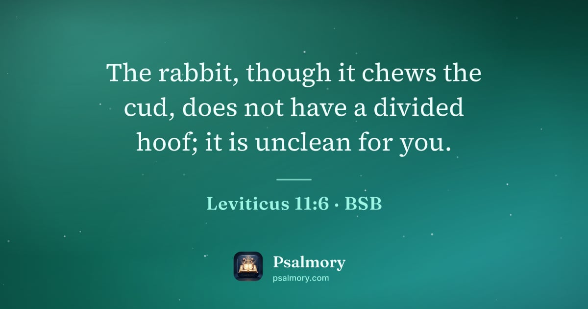 Leviticus 11:6 verse artwork: The rabbit, though it chews the cud, does not have a divided hoof; it is unclean for you.