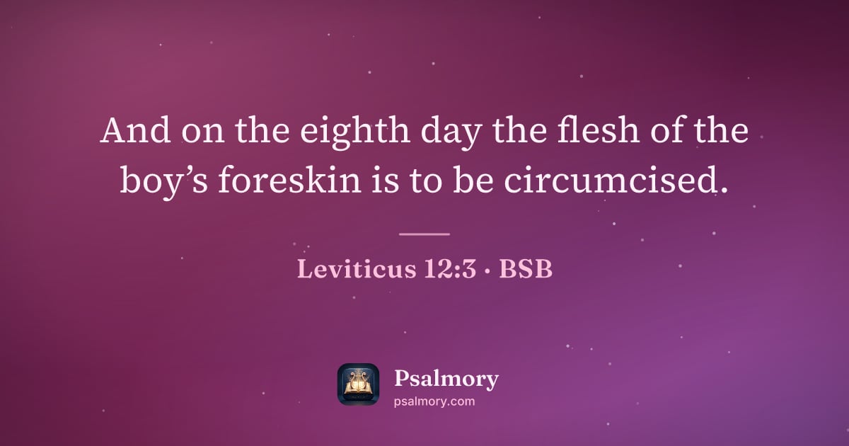 Leviticus 12:3 verse artwork: And on the eighth day the flesh of the boy’s foreskin is to be circumcised.