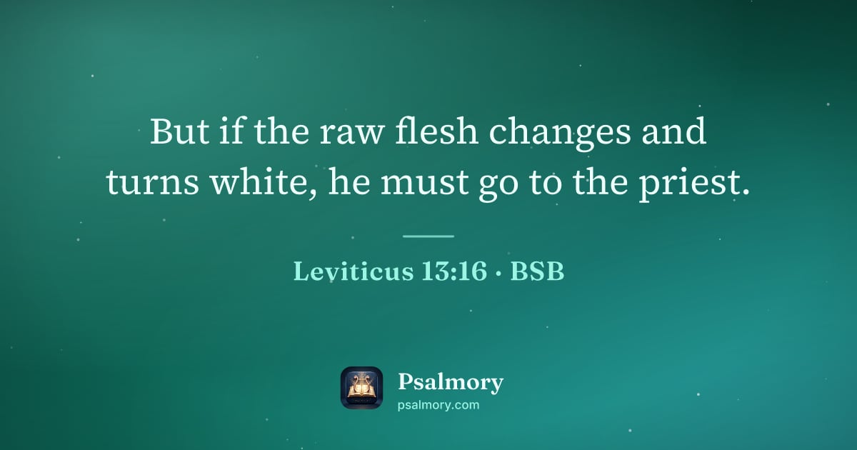 Leviticus 13:16 verse artwork: But if the raw flesh changes and turns white, he must go to the priest.