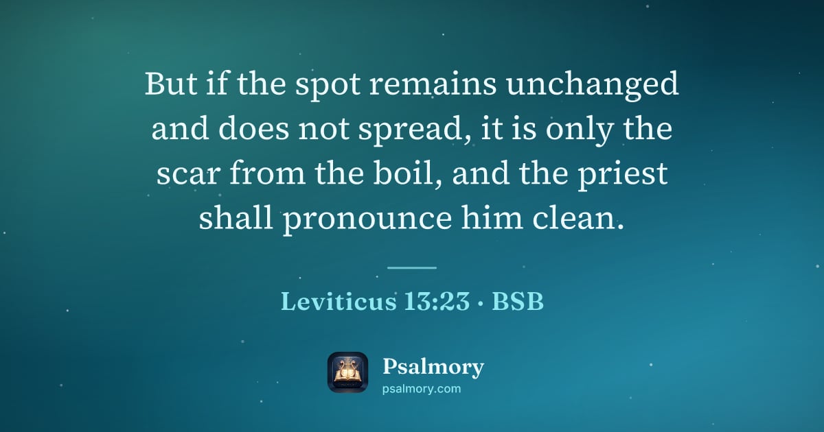 Leviticus 13:23 verse artwork: But if the spot remains unchanged and does not spread, it is only the scar from the…