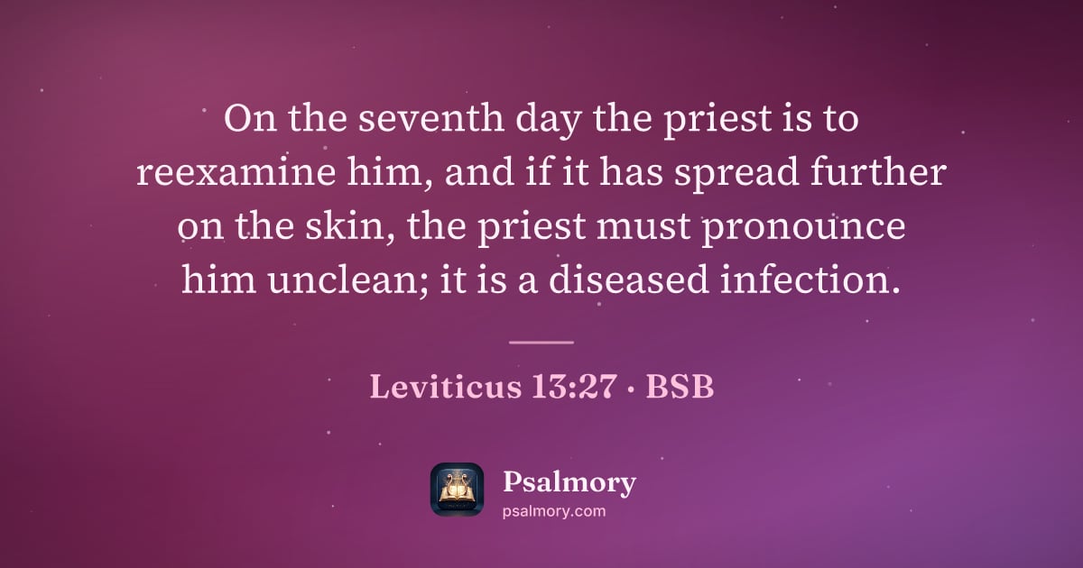 Leviticus 13:27 verse artwork: On the seventh day the priest is to reexamine him, and if it has spread further on the…