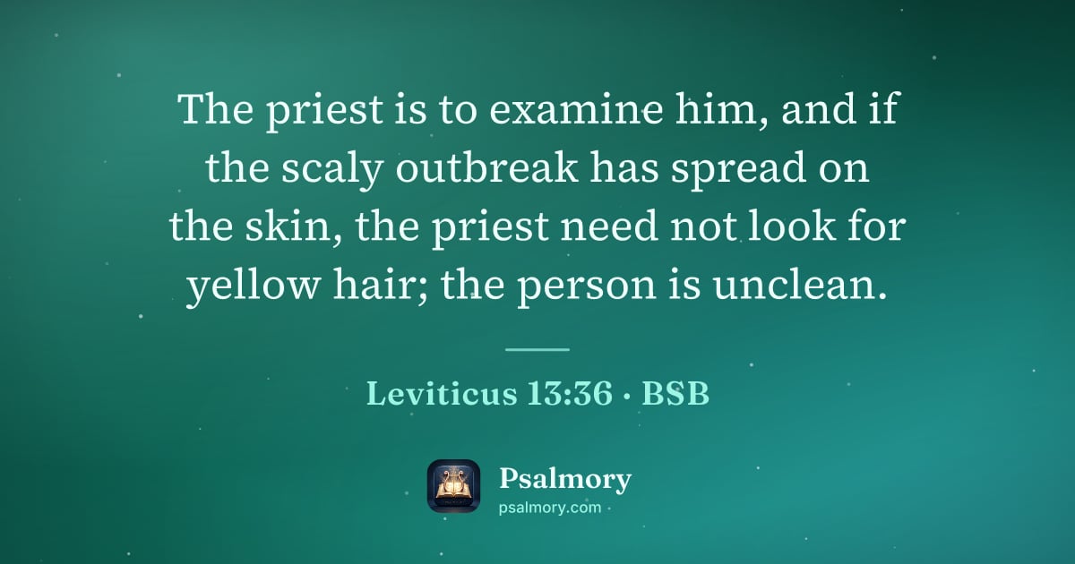 Leviticus 13:36 verse artwork: The priest is to examine him, and if the scaly outbreak has spread on the skin, the…