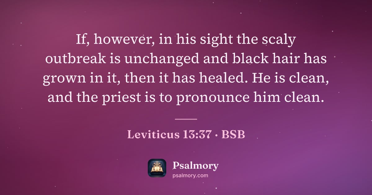 Leviticus 13:37 verse artwork: If, however, in his sight the scaly outbreak is unchanged and black hair has grown in…
