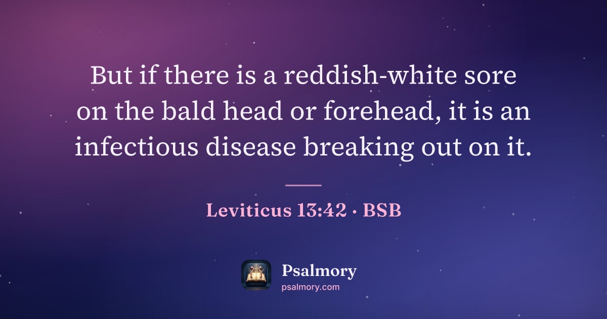 Leviticus 13:42 verse artwork: But if there is a reddish-white sore on the bald head or forehead, it is an infectious…