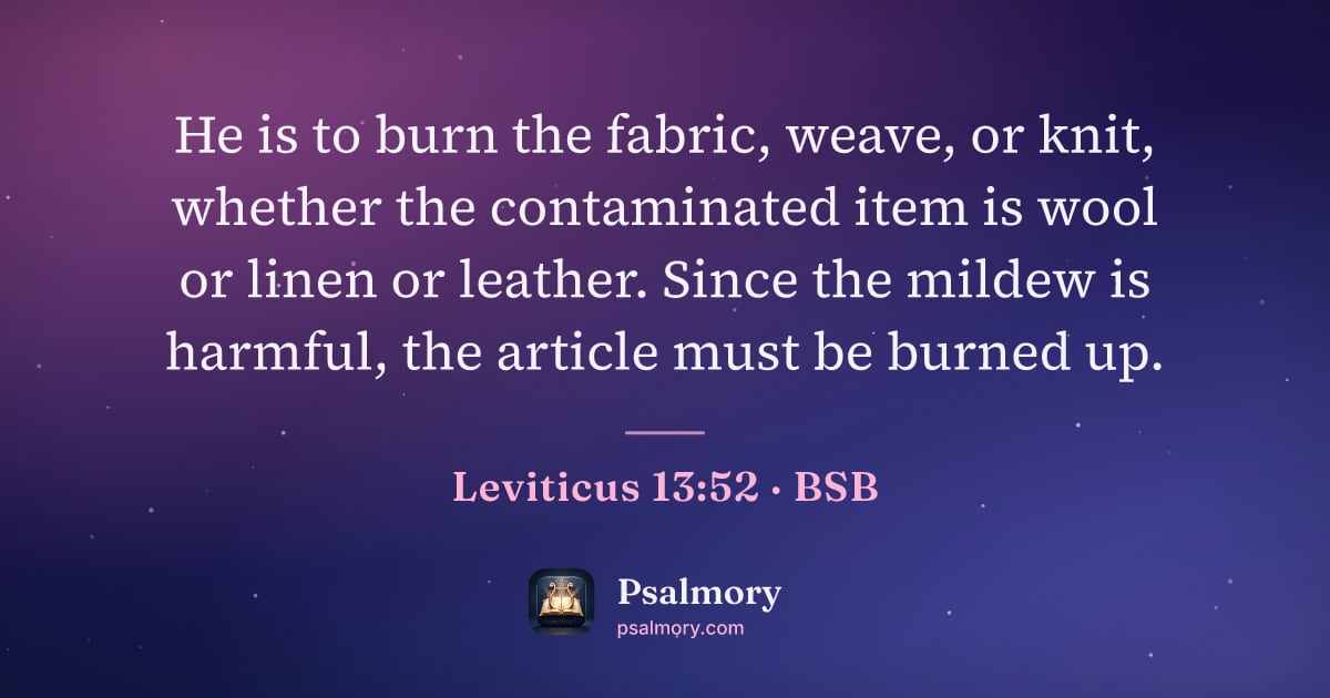 Leviticus 13:52 verse artwork: He is to burn the fabric, weave, or knit, whether the contaminated item is wool or linen…