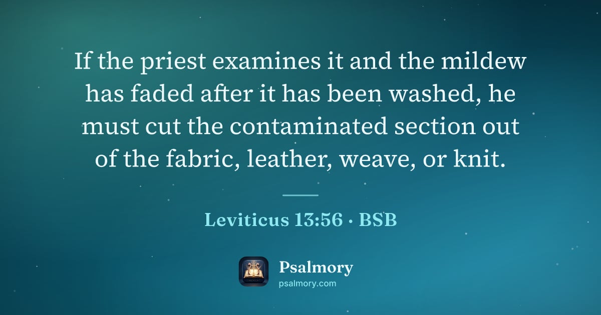 Leviticus 13:56 verse artwork: If the priest examines it and the mildew has faded after it has been washed, he must cut…