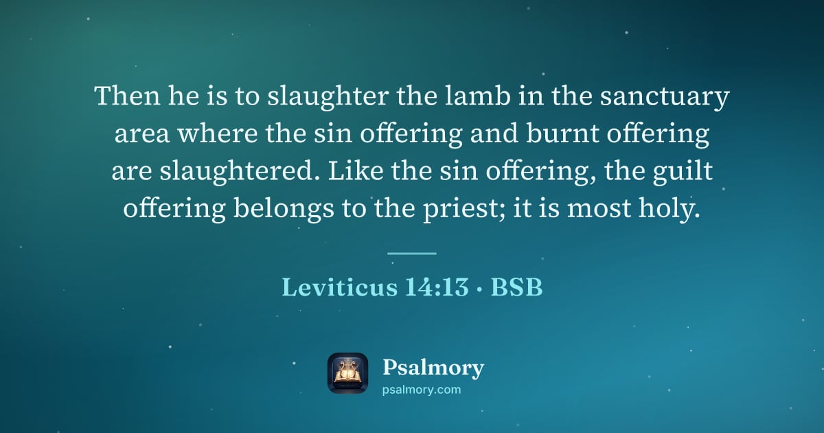 Leviticus 14:13 verse artwork: Then he is to slaughter the lamb in the sanctuary area where the sin offering and burnt…