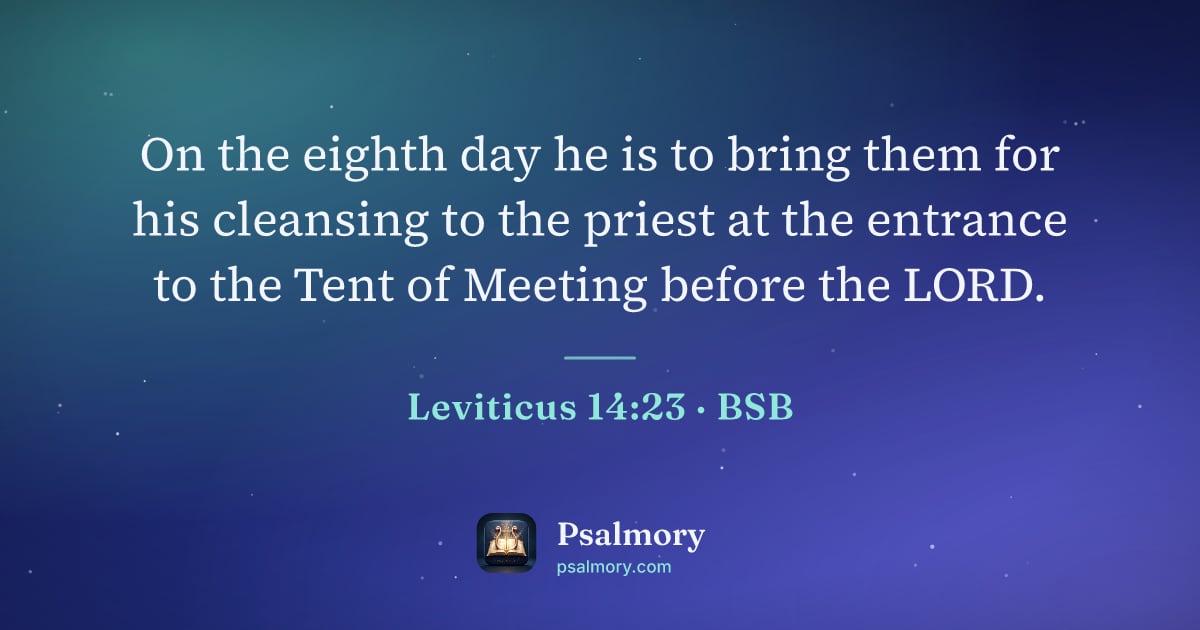 Leviticus 14:23 verse artwork: On the eighth day he is to bring them for his cleansing to the priest at the entrance to…