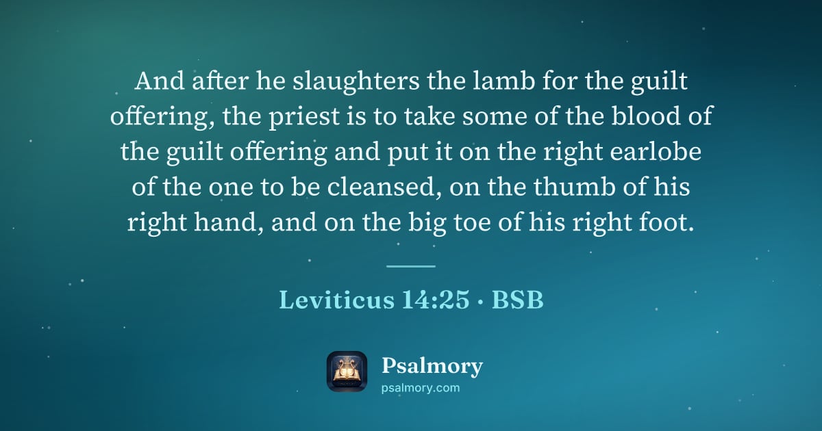 Leviticus 14:25 verse artwork: And after he slaughters the lamb for the guilt offering, the priest is to take some of…