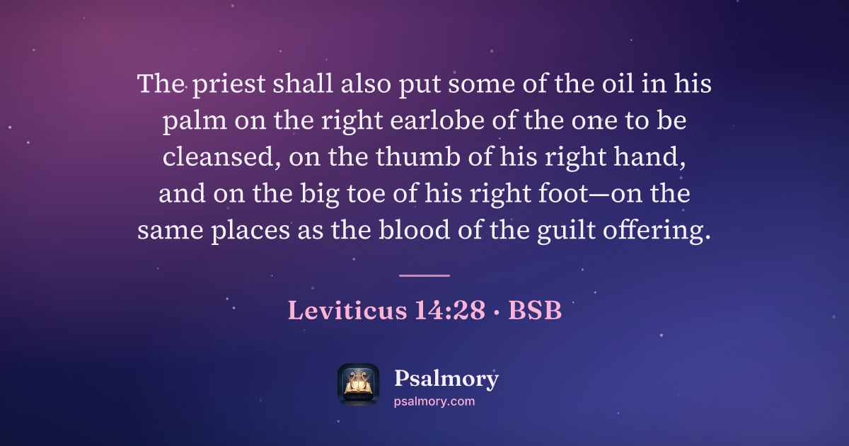 Leviticus 14:28 verse artwork: The priest shall also put some of the oil in his palm on the right earlobe of the one to…