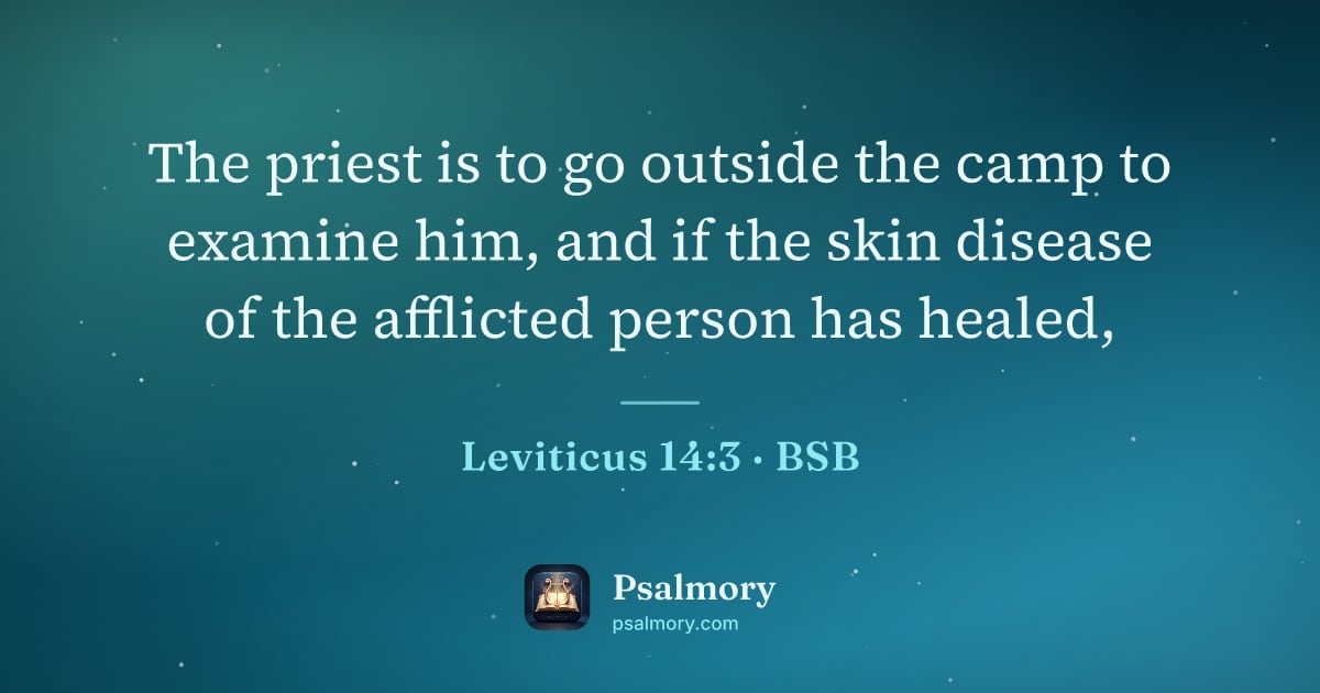 Leviticus 14:3 verse artwork: The priest is to go outside the camp to examine him, and if the skin disease of the…