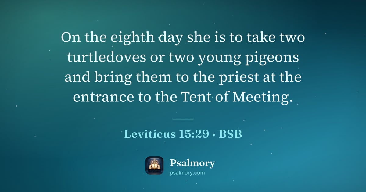 Leviticus 15:29 verse artwork: On the eighth day she is to take two turtledoves or two young pigeons and bring them to…