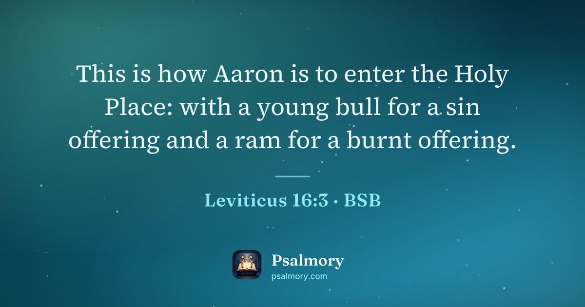Leviticus 16:3 verse artwork: This is how Aaron is to enter the Holy Place: with a young bull for a sin offering and a…
