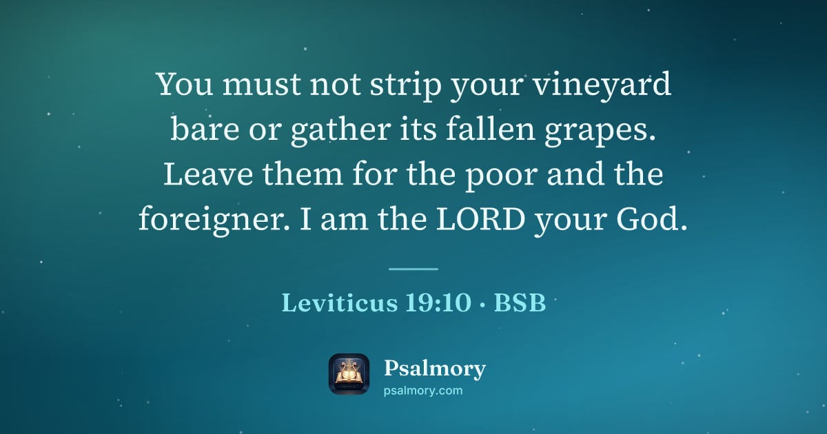 Leviticus 19:10 verse artwork: You must not strip your vineyard bare or gather its fallen grapes. Leave them for the…