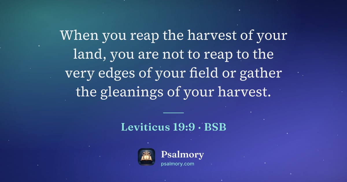 Leviticus 19:9 verse artwork: When you reap the harvest of your land, you are not to reap to the very edges of your…